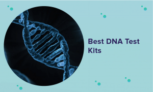 Best DNA Test Kits in 2022 (Expert Guide & Reviews)