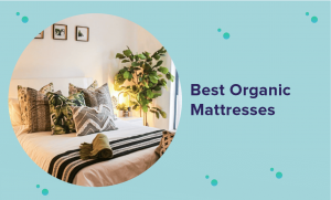 Best Organic Mattress of 2022 (Expert Guide & Reviews)