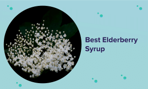 Best Elderberry Syrup of 2023 (Reviews & Buyer’s Guide)