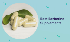 Best Berberine Supplement for 2022 (Reviews & Buyer’s Guide)