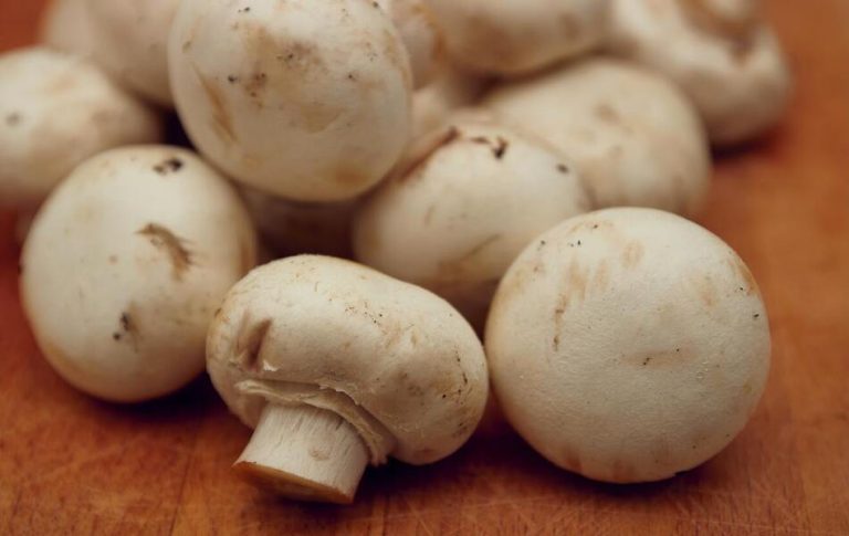 Higher Mushroom Intake Is Linked to a Lower Risk of Cancer