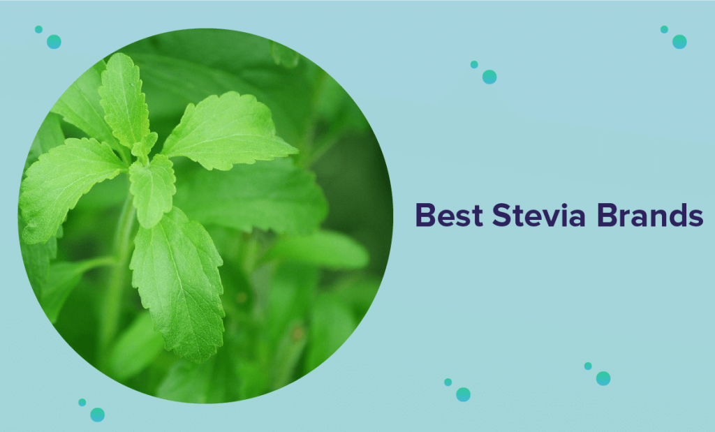 Best Stevia Brands