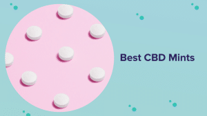 Best CBD Mints in 2021 to Relax on the Go