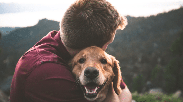 Dog Owners Less Prone to Depression During the Pandemic