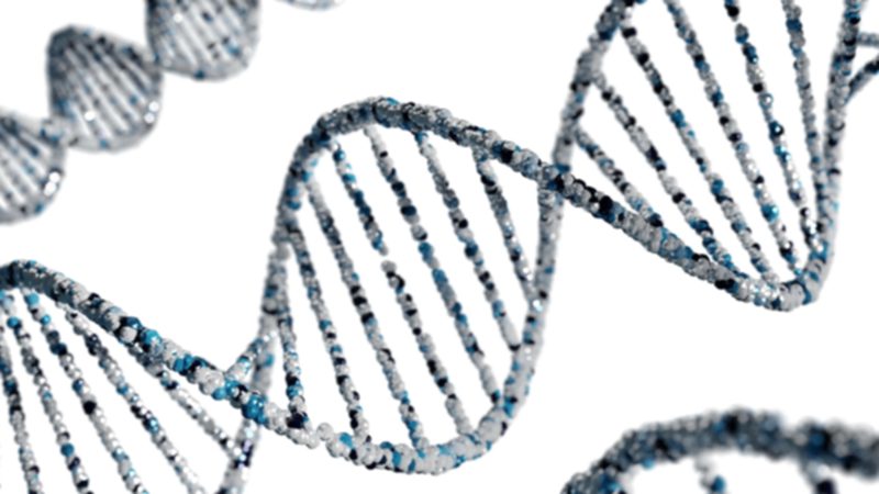 20 Fun Facts About DNA That Will Surprise You